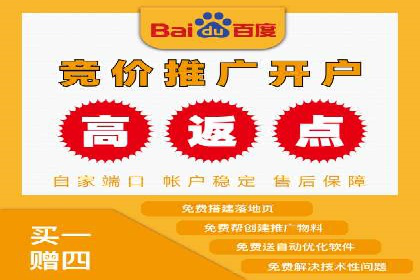 百度推广费用的投入与市场占有率提升的关联案例